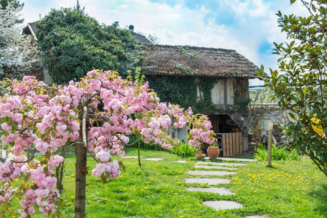 Villa Sonnenschein Терлано Экстерьер фото
